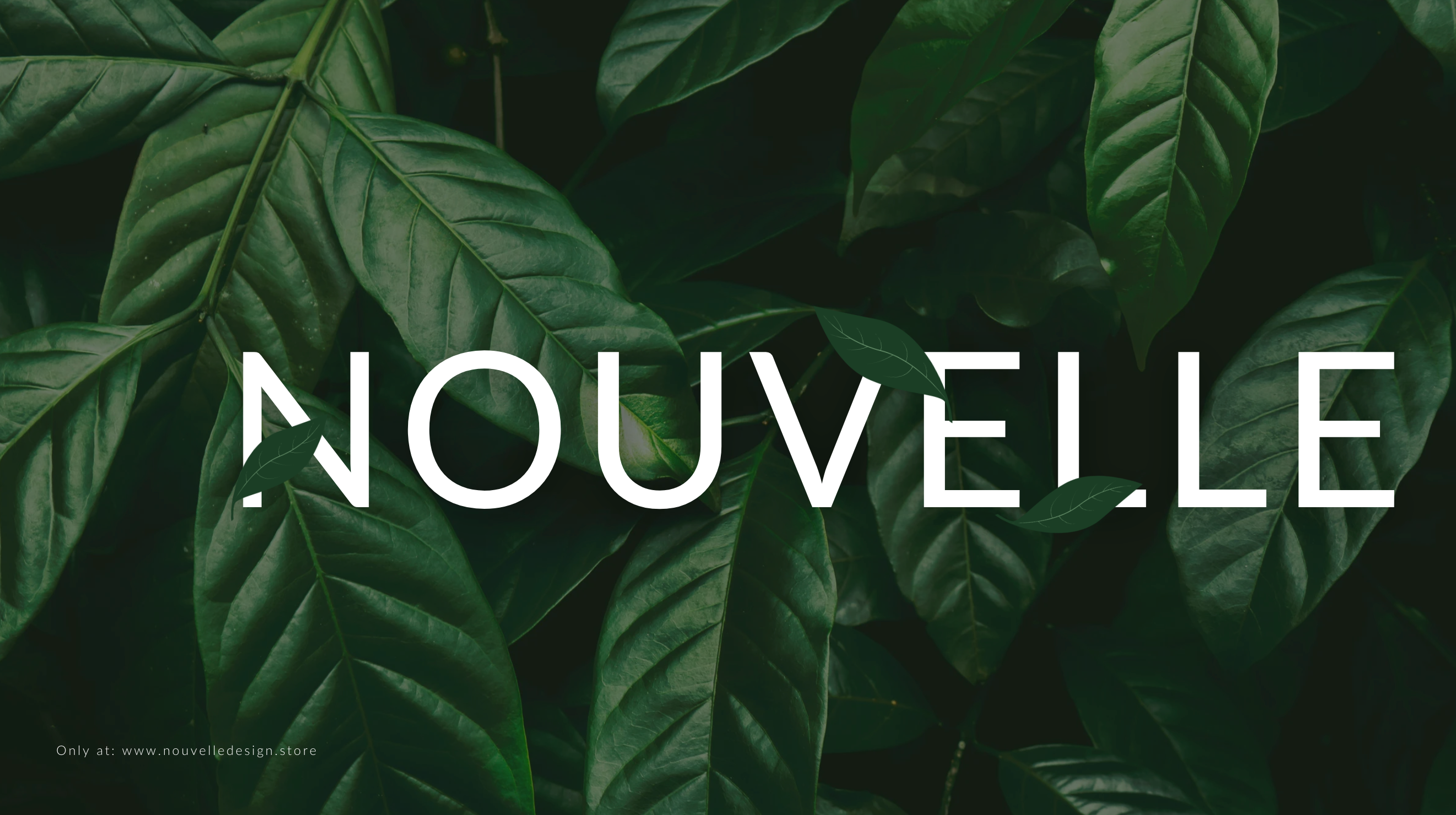 Nouvelle